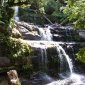 19 Tasmania - Liffy Falls.jpg