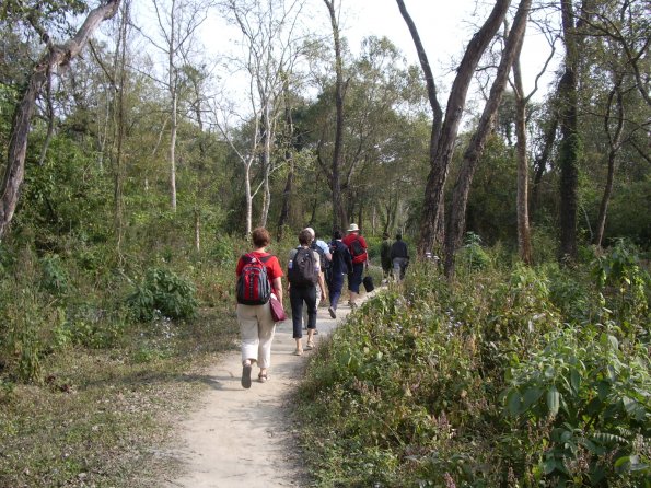 05 Chitwan nature walk.jpg