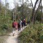 05 Chitwan nature walk.jpg