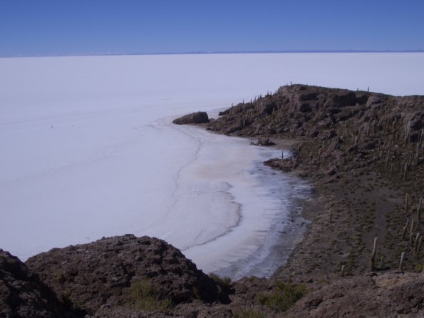 147 Fish Island in a lake of salt.jpg
