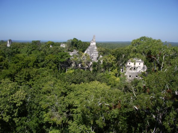 277 Tikal.JPG