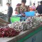 27 Market at Samarkand.jpg